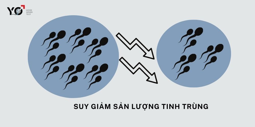 Mộng tinh quá nhiều gây suy giảm sản lượng tinh trùng