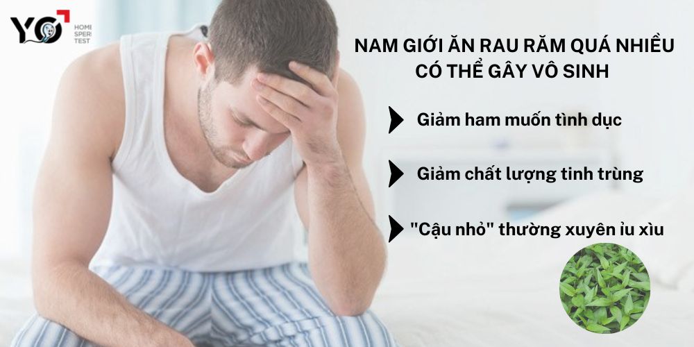 Tác hại khi nam giới ăn quá nhiều rau răm
