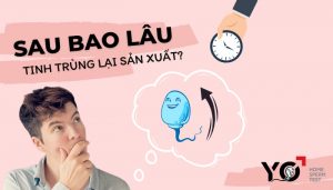 Sau bao lâu tinh trùng lại sản xuất