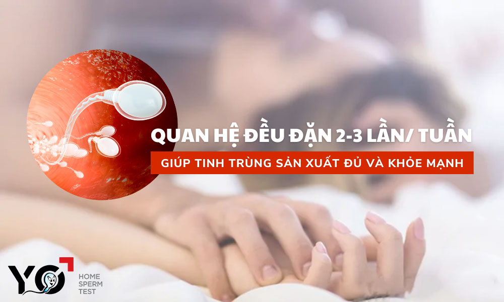 Sinh hoạt tình dục đều đặn giúp đảm bảo quá trình sinh tinh
