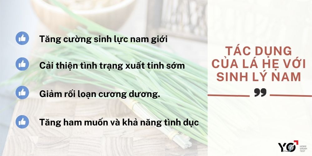 Tác dụng của lá hẹ với nam giới