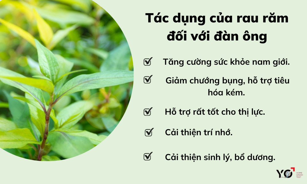 Tác dụng của rau răm đối với đàn ông