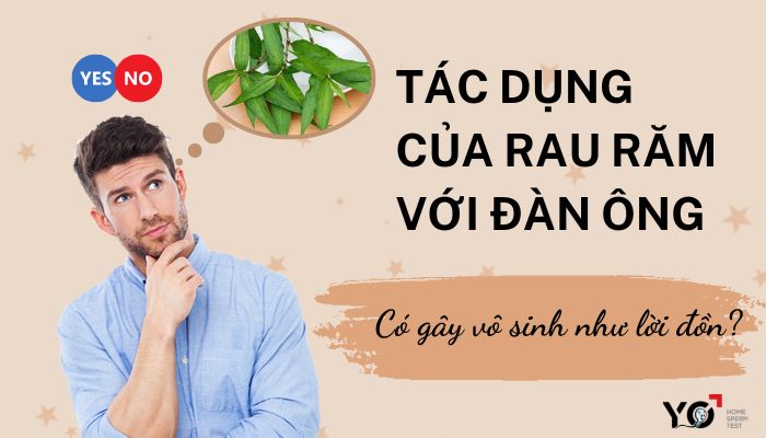 Tac dung cua rau ram voi dan ong