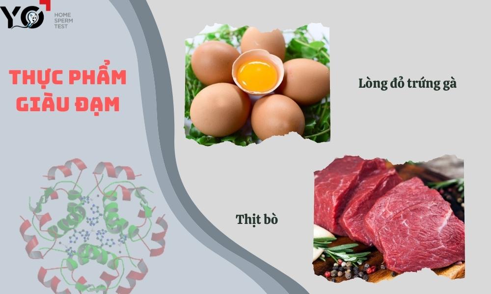 Tăng Testosterone bằng cách bổ sung đạm