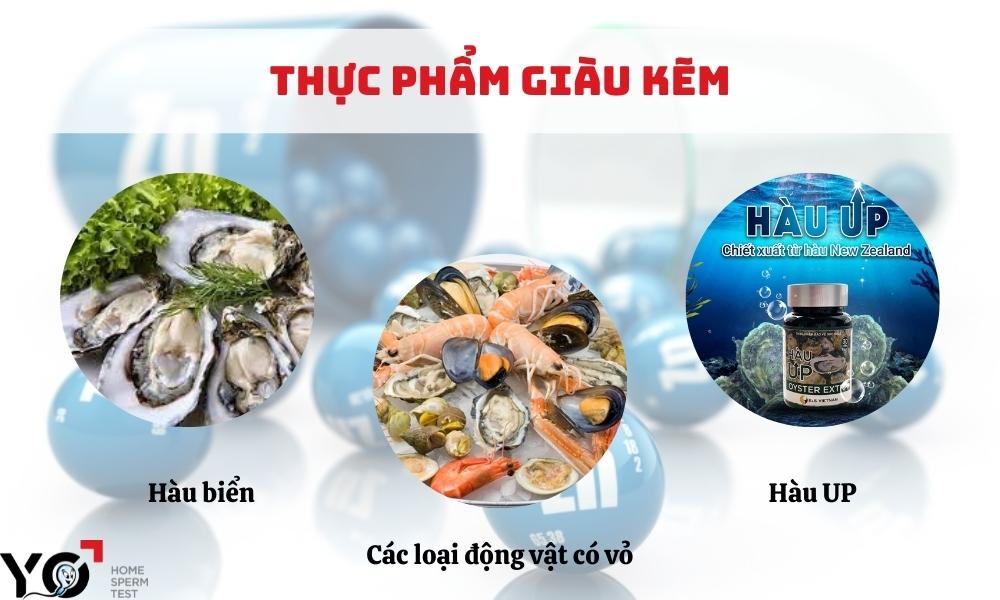Các loại thực phẩm bổ sung kẽm cho người muốn tăng Testosterone