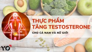 Thực phẩm tăng testosterone tự nhiên cho cả nam và nữ giới