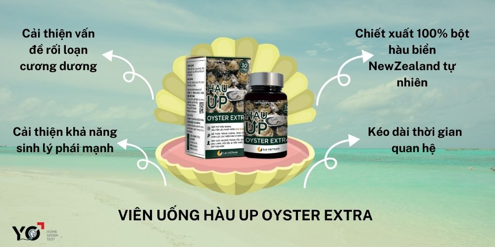 Sử dụng Hàu UP Oyster Extra để kéo dài thời gian quan hệ