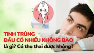 Tinh trùng đầu có nhiều không bào