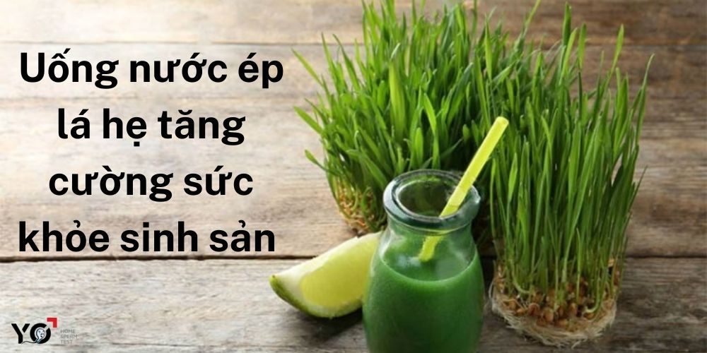 Nếu không thể ăn lá hẹ sống thì bạn có thể thử sang nước ép lá hẹ