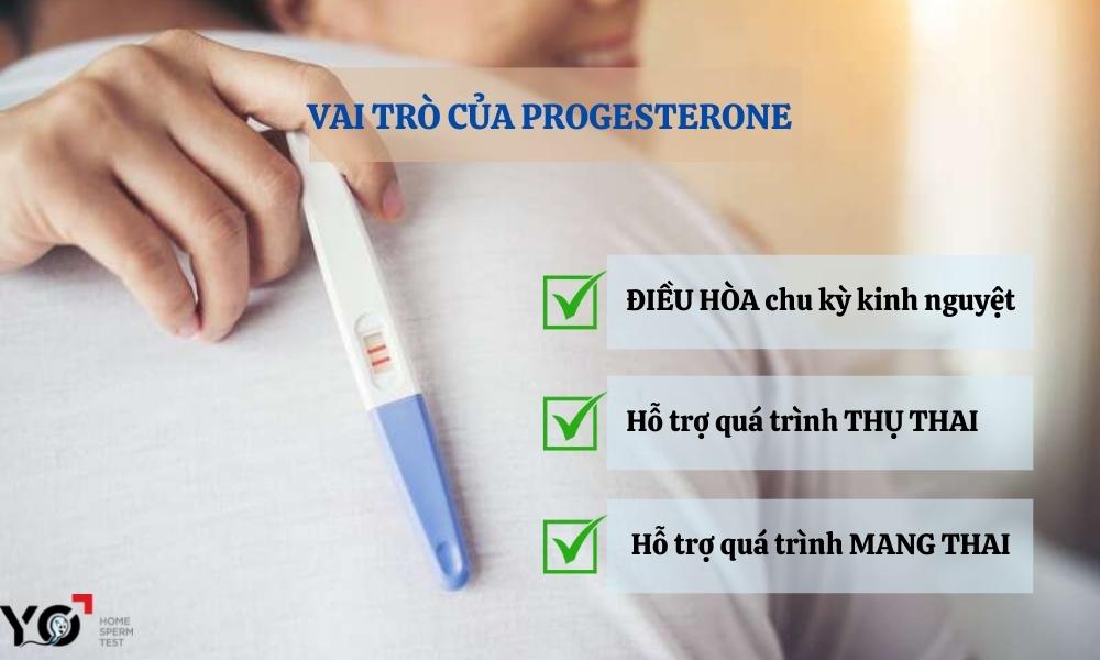 Tác dụng của Progesterone đối với nữ giới