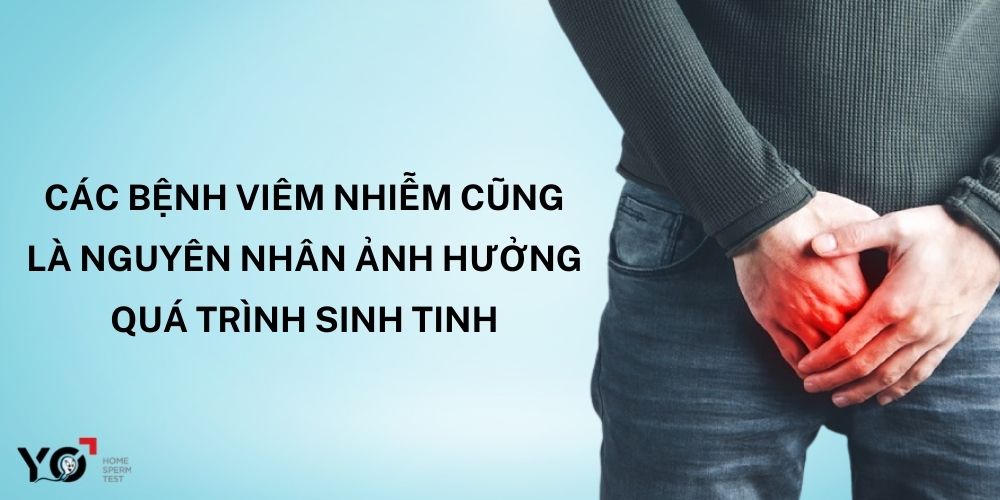 Các bệnh viêm nhiễm gây teo tinh hoàn và ảnh hưởng đến quá trình sinh tinh
