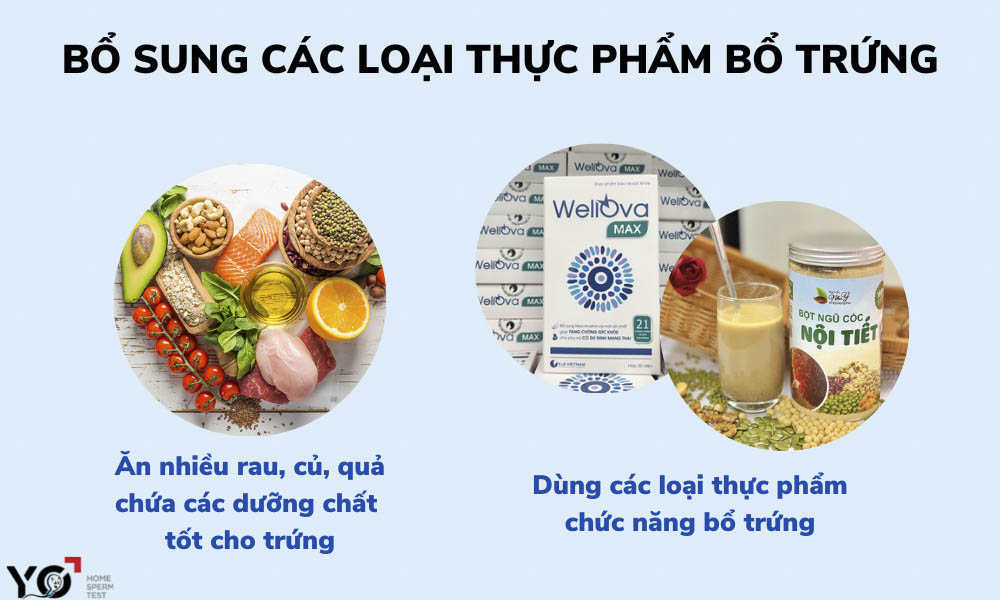 Các loại thực phẩm bổ trứng