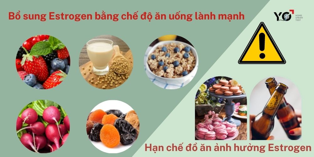 Bổ sung Estrogen qua chế độ ăn uống