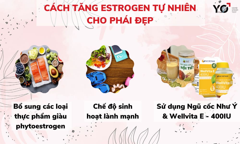 Bổ sung estrogen bằng cách nào?