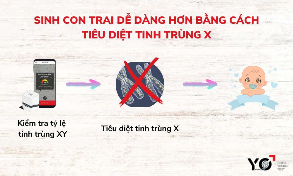 Nhiều bố mẹ muốn tìm cách tiêu diệt tinh trùng X để sinh con trai theo ý muốn