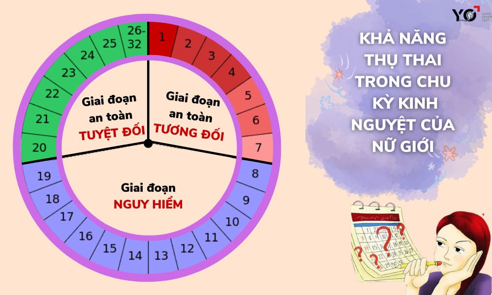 Khả năng mang thai tăng- giảm trong suốt chu kỳ kinh nguyệt