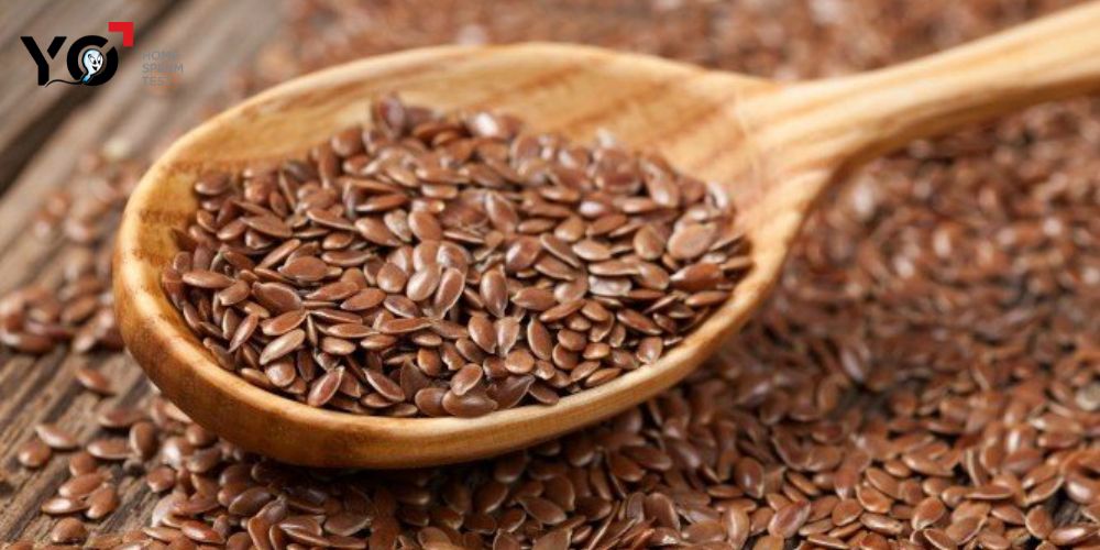 Hạt lanh giúp bổ sung nội tiết tố nữ Estrogen