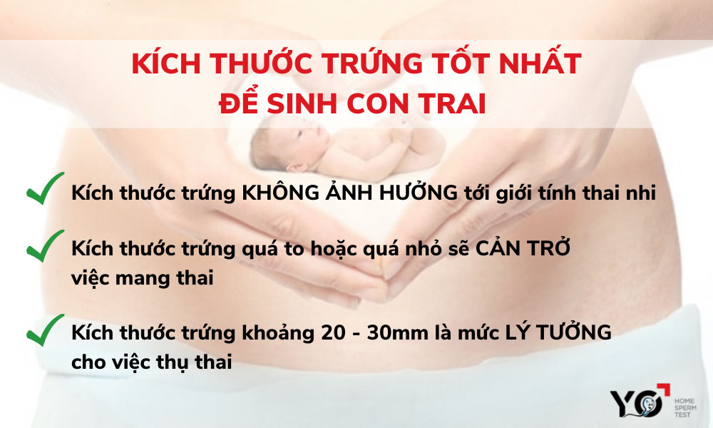 Kích thước trứng tốt nhất để thụ thai con trai là bao nhiêu?