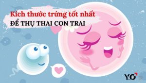 Kích thước trứng tốt nhất để thụ thai con trai