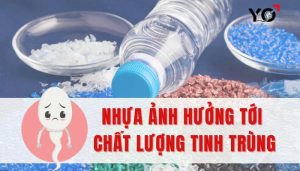 Nhựa ảnh hưởng tới tinh trùng như thế nào?