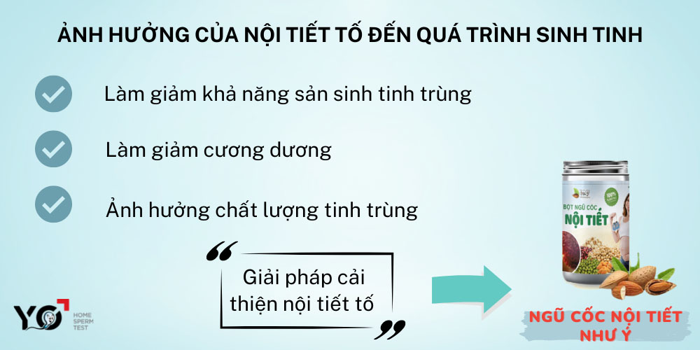 Nội tiết tố ảnh hưởng lớn đến quá trình sinh tinh