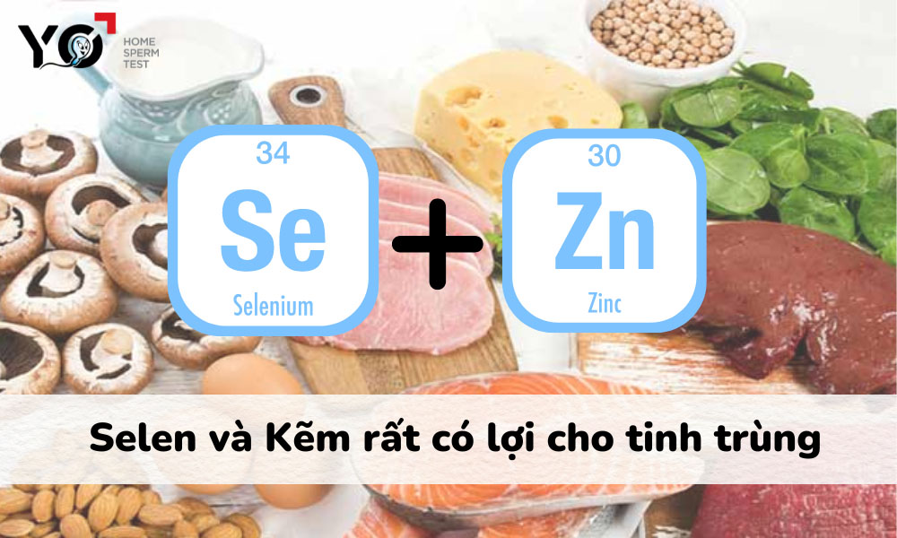 Bổ sung các dưỡng chất có lợi cho tinh trùng trong bữa ăn hàng ngày