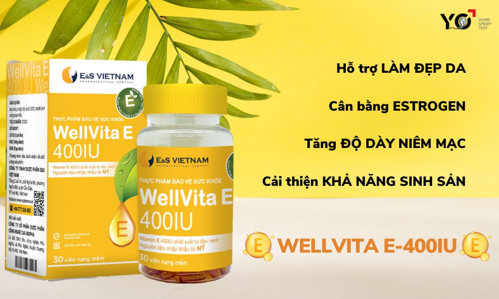 Viên uống WellVita E-400IU sản phẩm bổ sung Estrogen hiệu quả