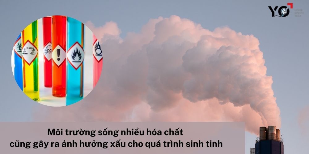 Môi trường sống tác động đến quá trình sinh tinh