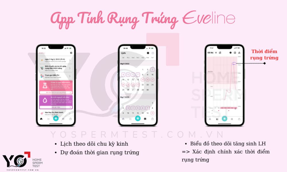 App tính ngày rụng trứng
