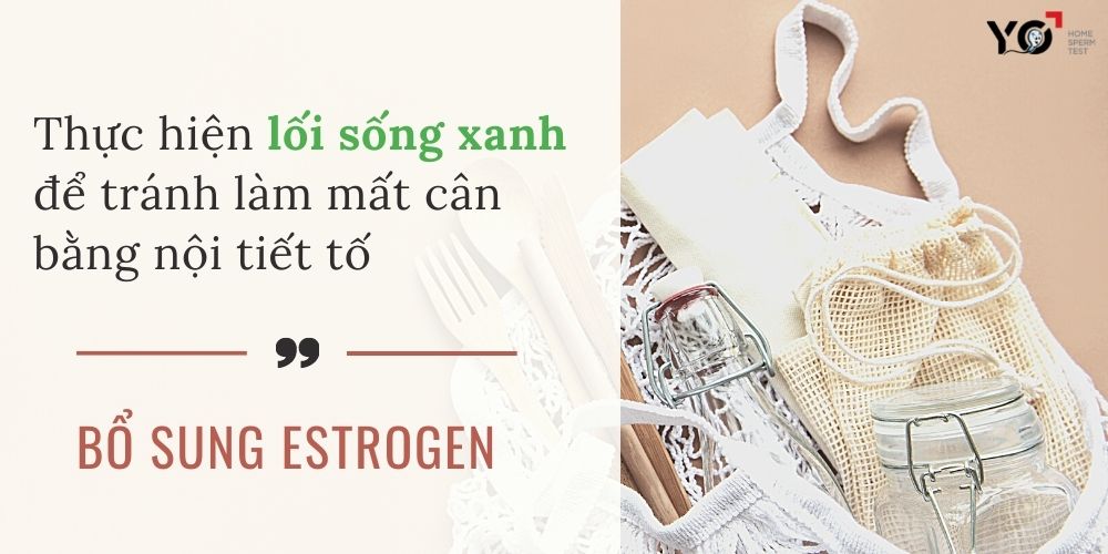 Cải thiện Estrogen qua lối sống xanh