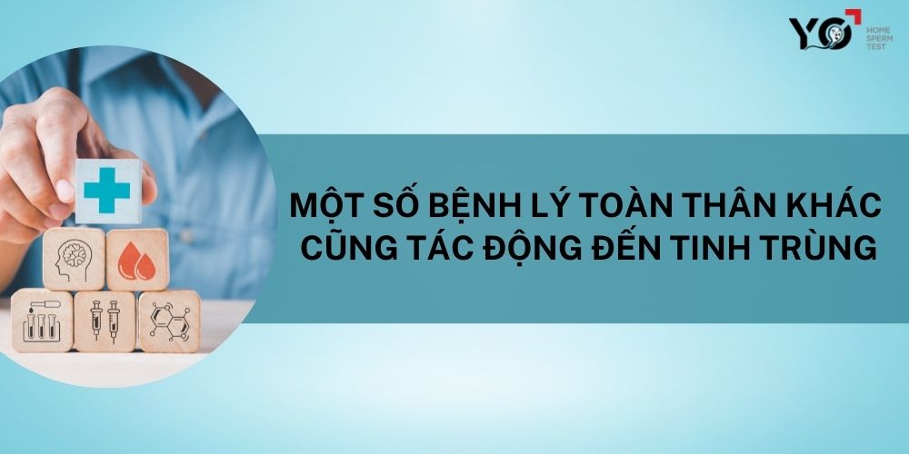 Một số bệnh lý toàn thân khác cũng tác động đến tinh trùng