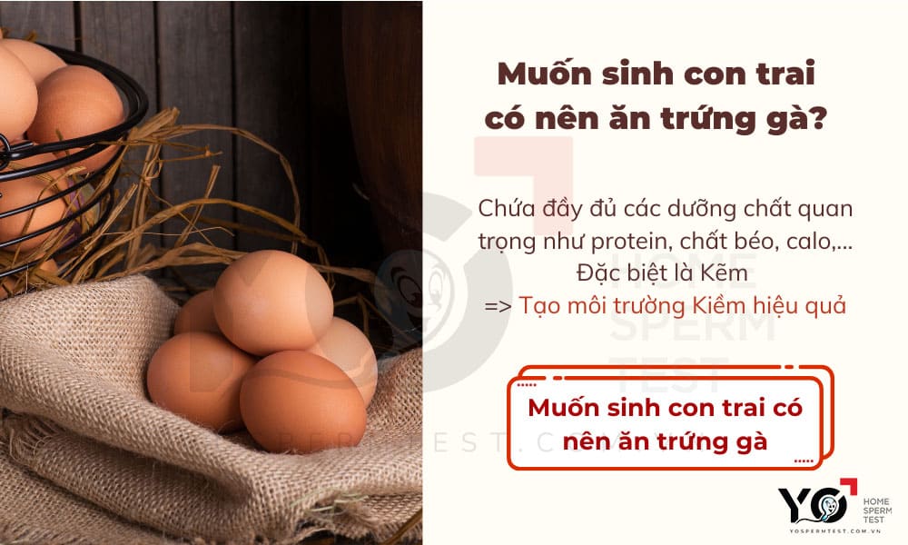Bố mẹ nên ăn trứng gà vì chúng chúa nhiều dưỡng chất cần thiết