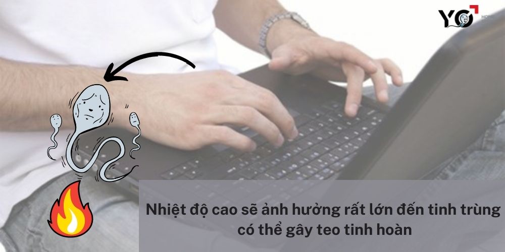 Nhiệt độ cao sẽ tác động đến quá trình sinh tinh