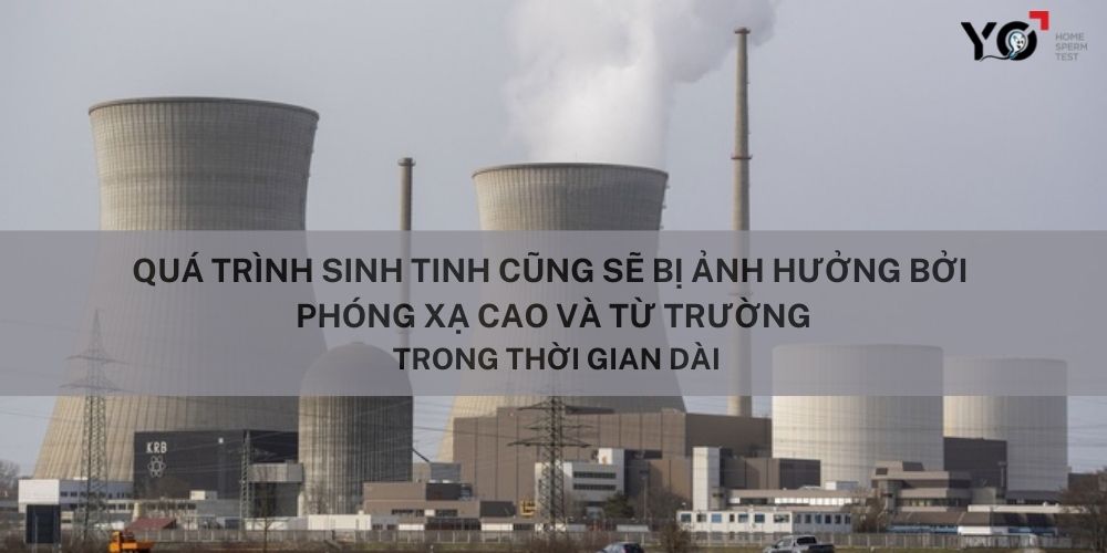 Phóng xạ và từ trường tác động tiêu cực đến quá trình sinh tinh
