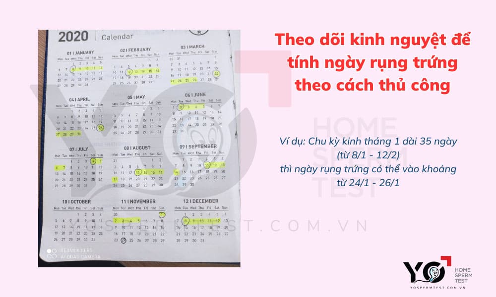 Tính ngày rụng trứng theo cách thủ công