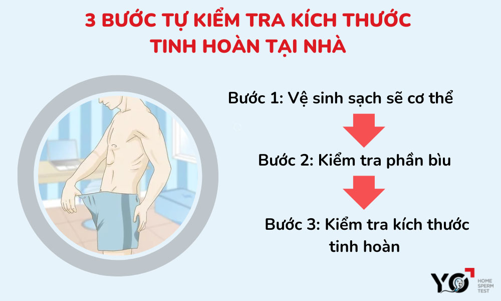 Các bước tự kiểm tra kích thước tinh hoàn ngay tại nhà