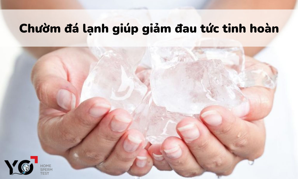 Chữa đau tinh hoàn tại nhà bằng cách chườm đá lạnh