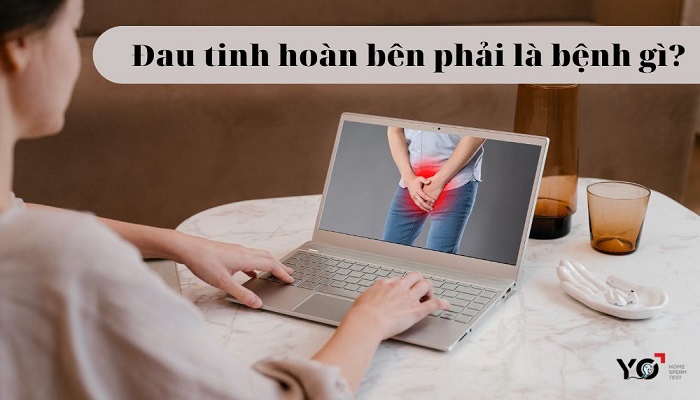 Dau tinh hoan ben phai la benh gi