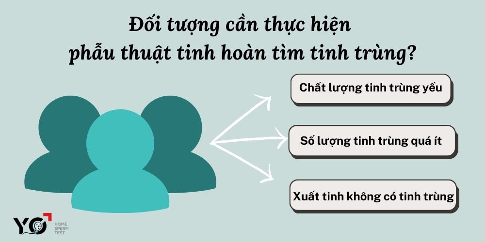 Đối tượng cần thực hiện phẫu thuật tinh hoàn tìm tinh trùng
