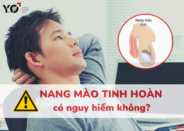 Nam giới bị nang mào tinh hoàn có nguy hiểm không?