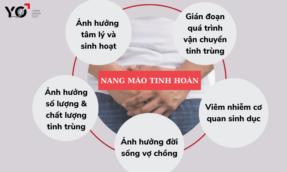 Biến chứng của nang mào tinh hoàn