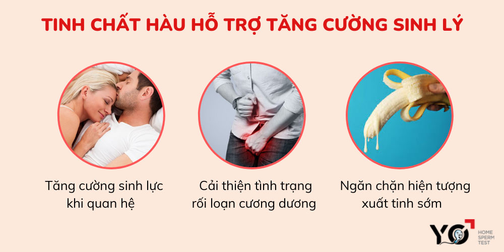 Tinh chất hàu hỗ trợ tăng cường sinh lý cho cánh mày râu