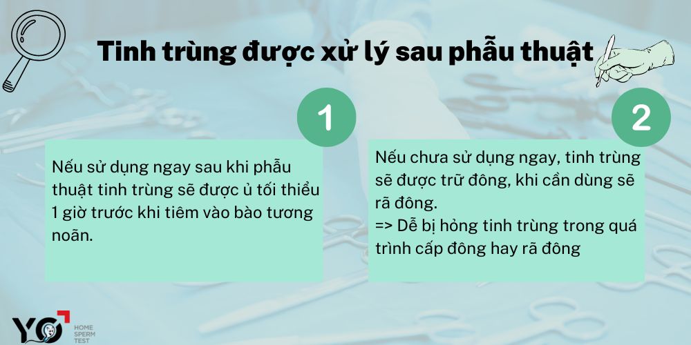 Tinh trùng được xử lý sau phẫu thuật