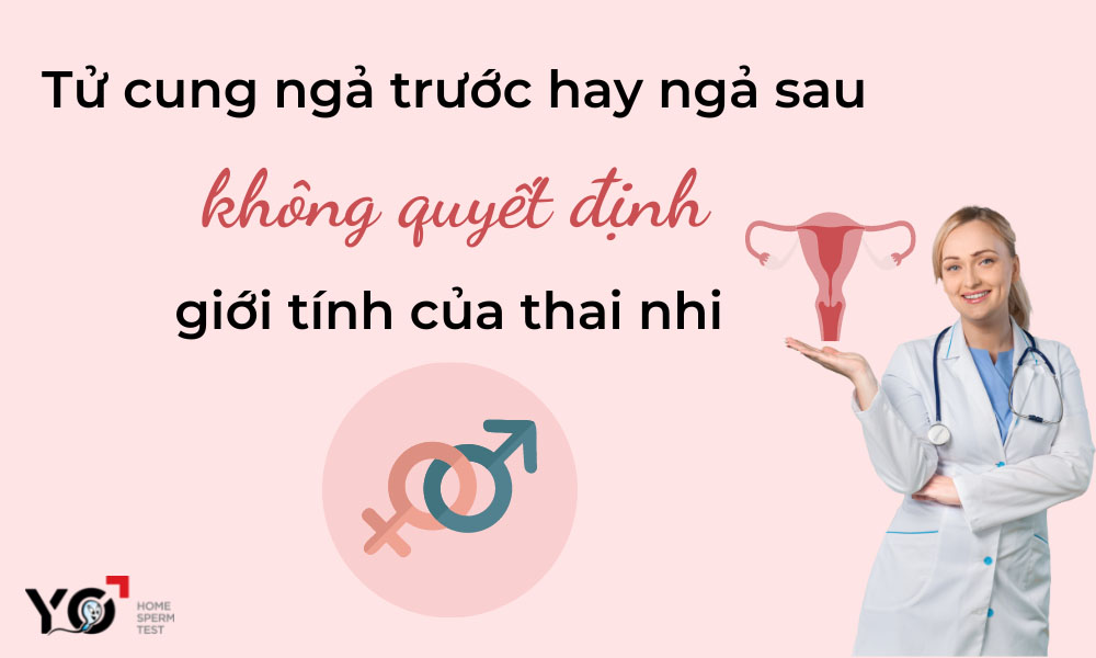 Tử cung ngả trước không liên quan đến việc sinh con trai hay gái