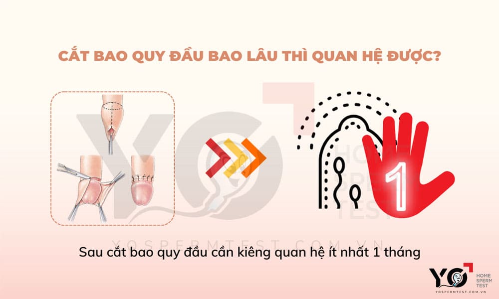 Cắt bao quy đầu bao lâu thì quan hệ được