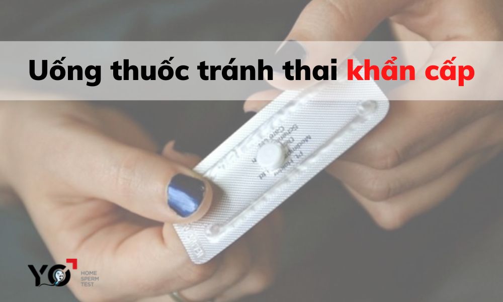 Sử dụng thuốc tránh thai khẩn cấp 