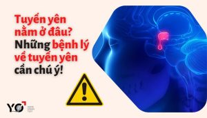 Tuyến yên nằm ở đâu