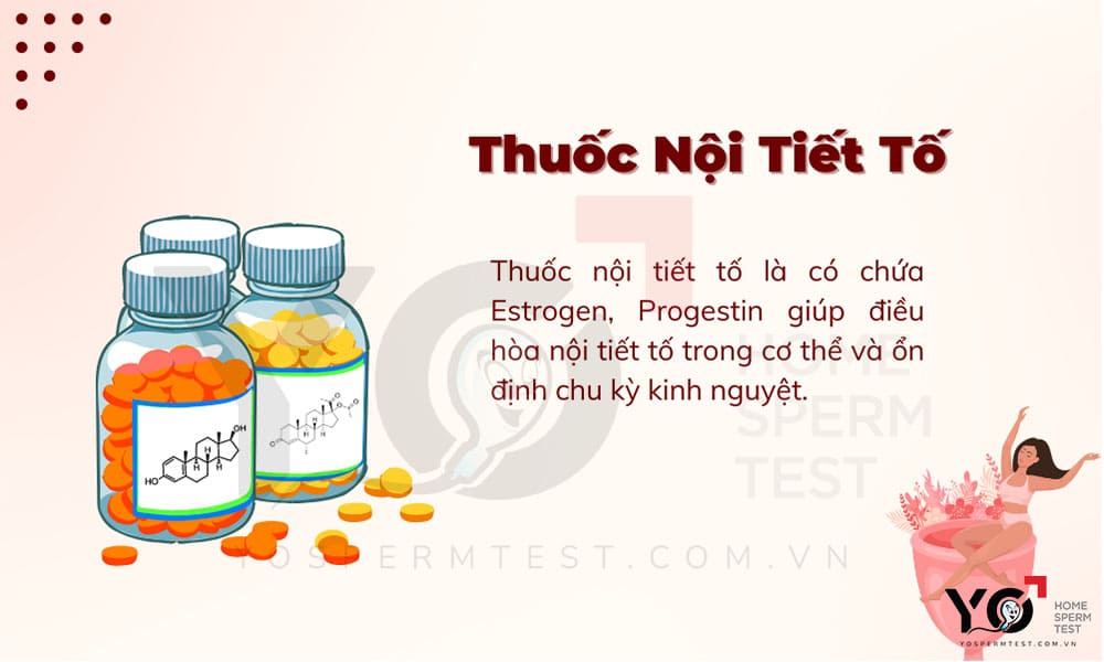 Thuốc nội tiết tố
