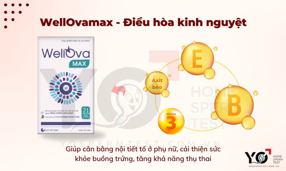 Điều trị rối loạn kinh nguyệt bằng WellOvamax