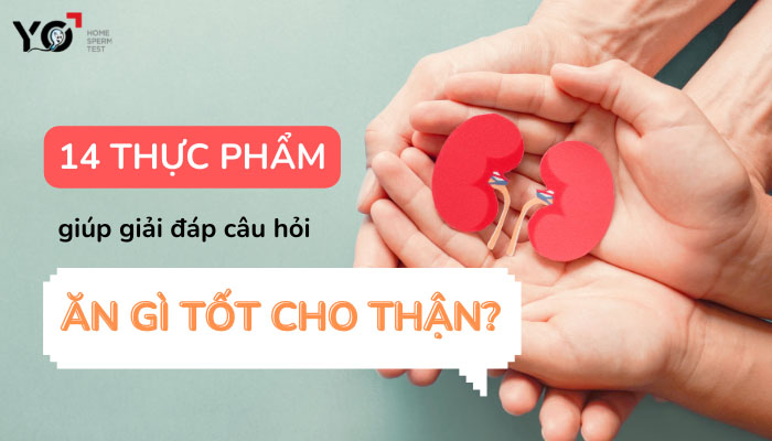 ăn gì tốt cho thận